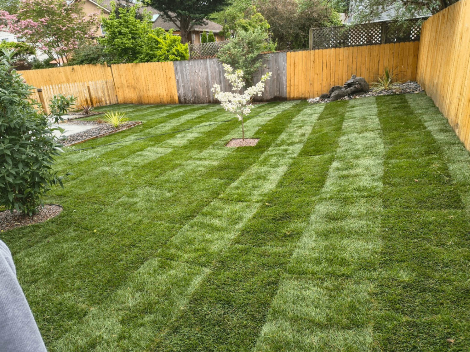 Backyard with striped lawn pattern