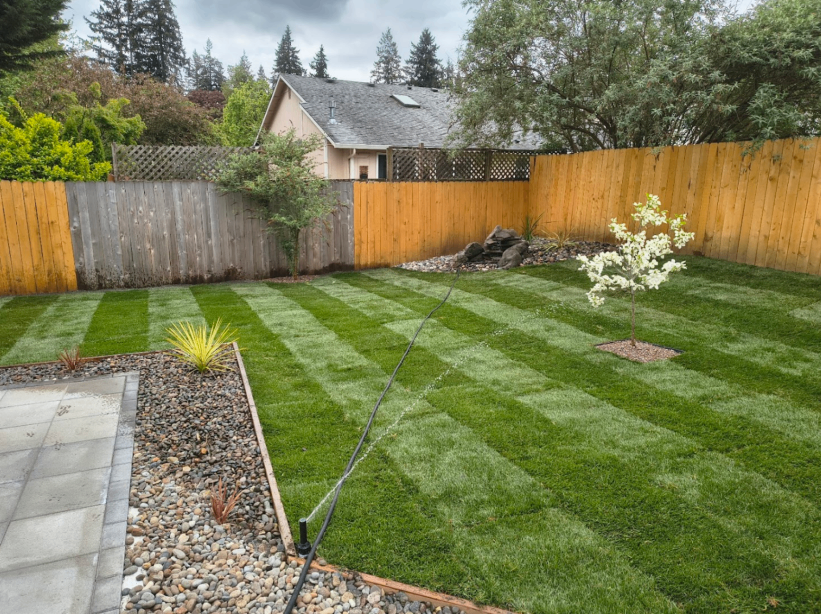Backyard sod and irrigation project