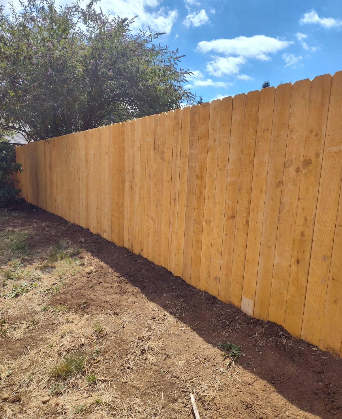 New cedar privacy fence along a property line
