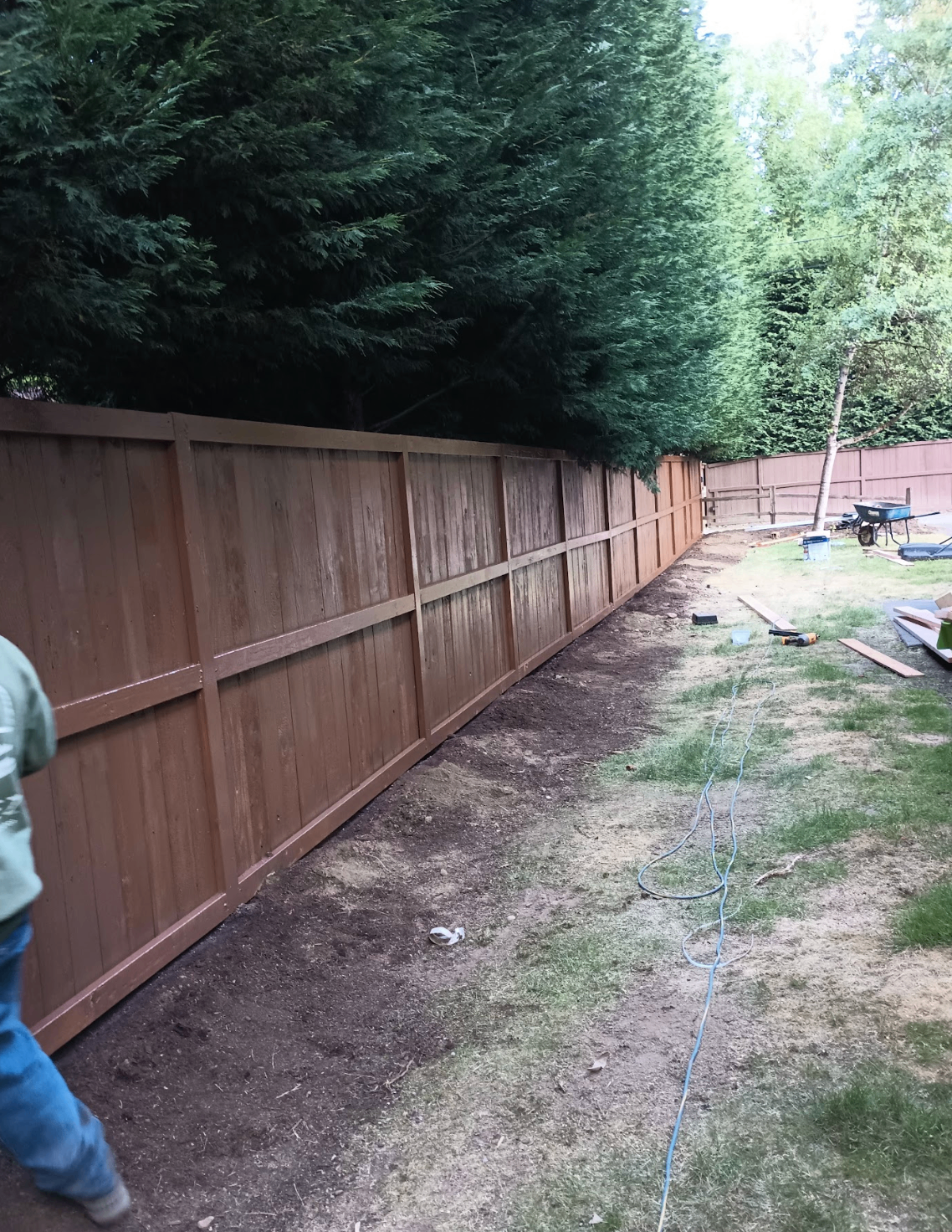 New wooden privacy fence along a tree-lined property edge