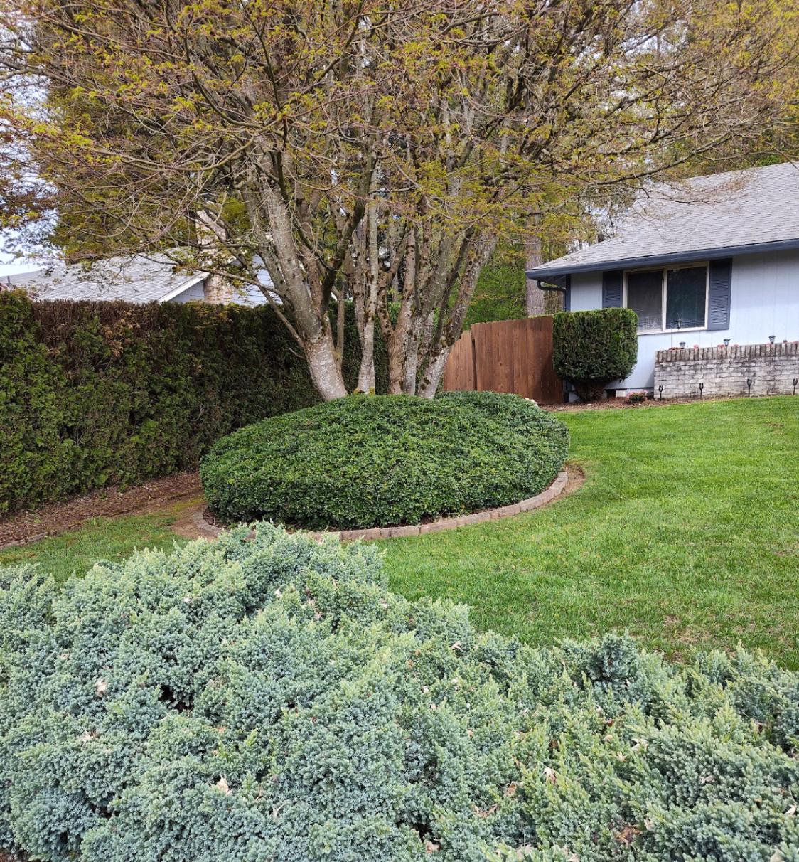 Trimmed landscape with sculpted shrubs and clean edges